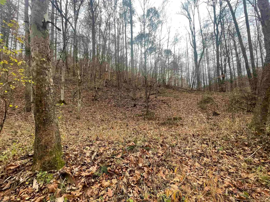TBD Sand Fork Road, Walkersville, WV 26447 - Image #3