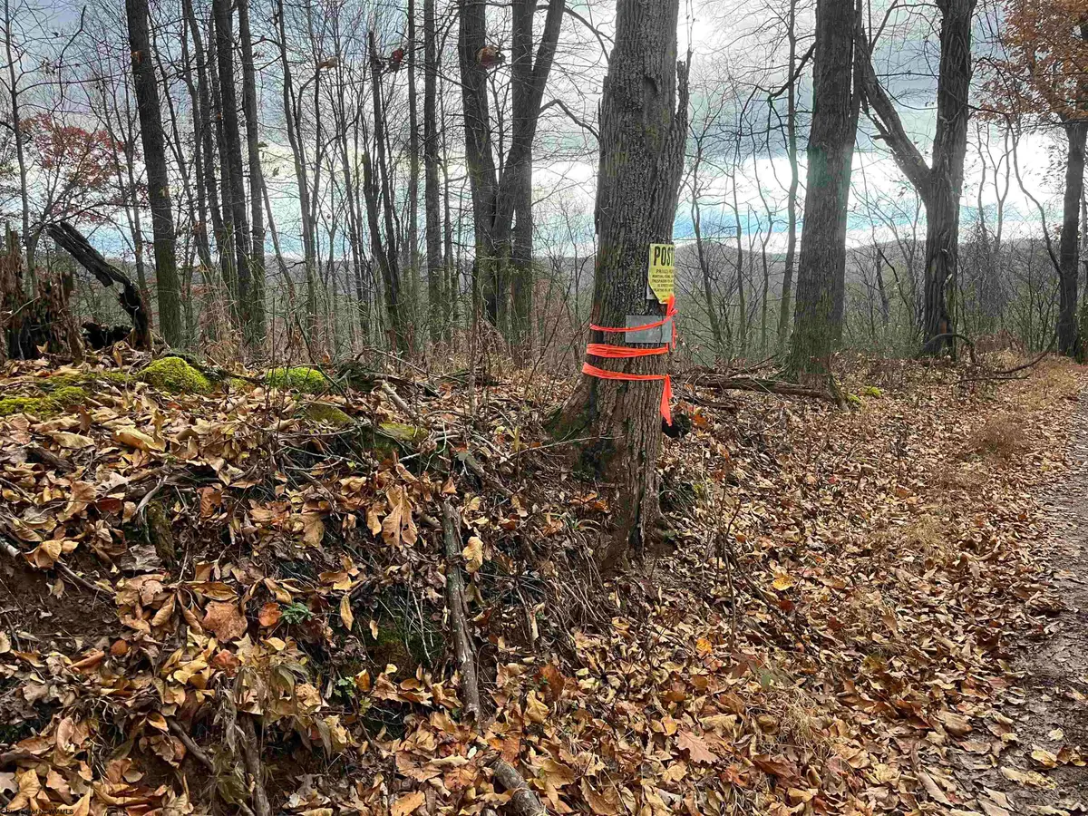 000 Crawford Road, Crawford, WV 26343 - Image #1