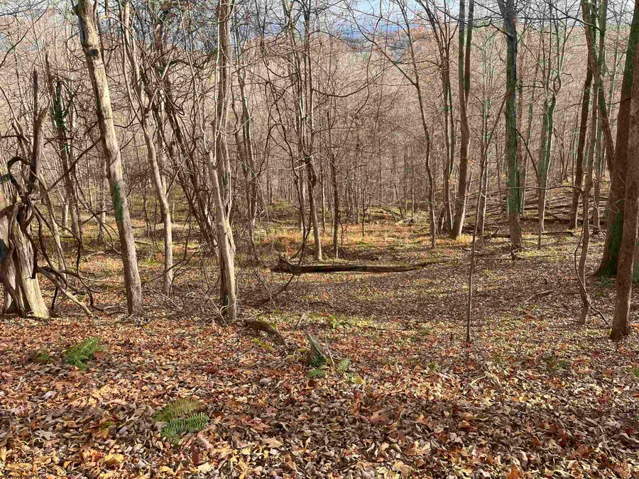 000 Crawford Road, Crawford, WV 26343 - Image #2