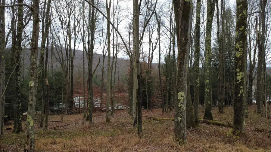 176 Laurel Circle, Terra Alta, WV 26764 - Image #3