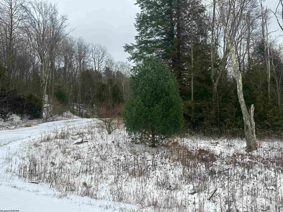 Lot 85 Gondola Court, Davis, WV 26260 - Image #2