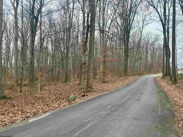 Lot 1 Ludwig Road, Grafton, WV 26534