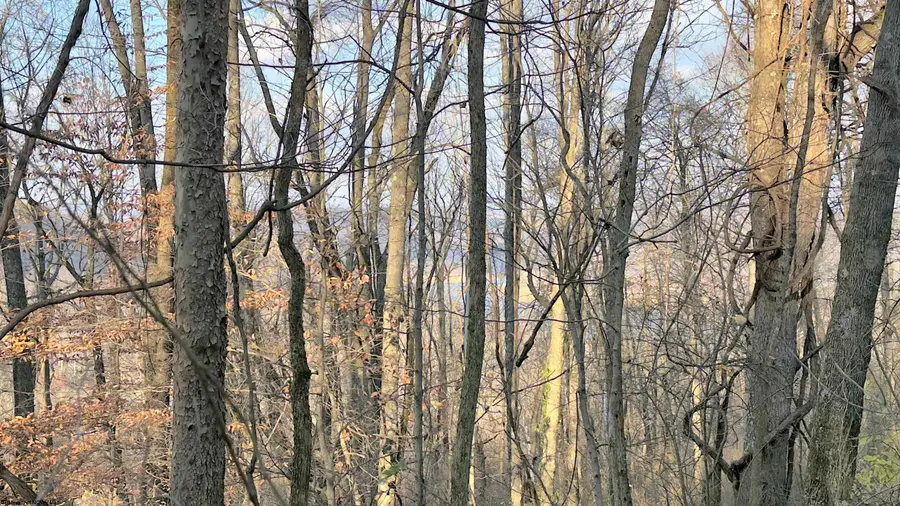 381 WEST HILL Road, Grafton, WV 26354 - Image #3