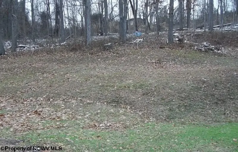 134 TURKEY RUN Road, Grafton, WV 26354-836 - Image #2