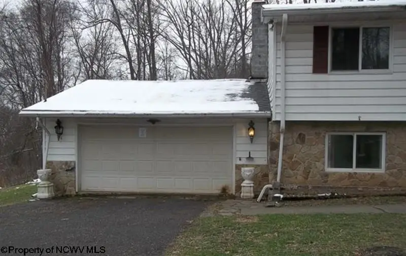 134 TURKEY RUN Road, Grafton, WV 26354-836 - Image #3
