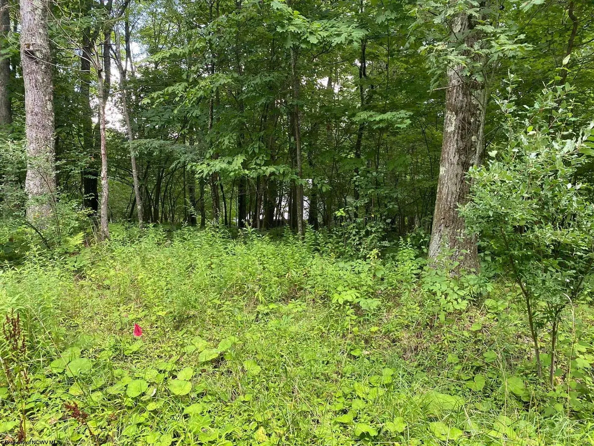 Lot 72 Oak Drive, Terra Alta, WV 26764 - Image #1