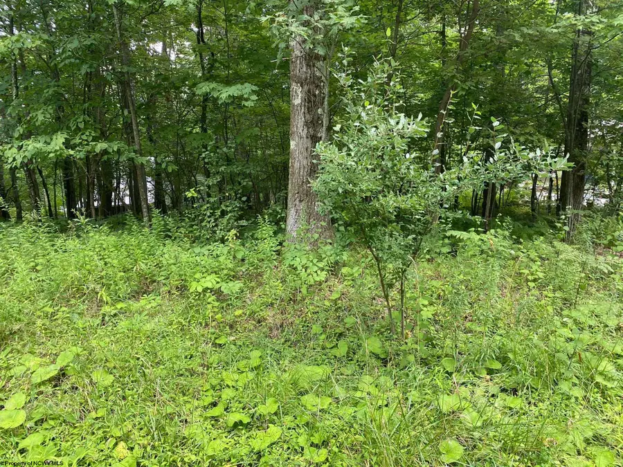Lot 72 Oak Drive, Terra Alta, WV 26764 - Image #2