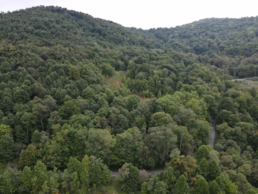 LOT A Jettsville Road, Fenwick, WV 26202 - Image #3