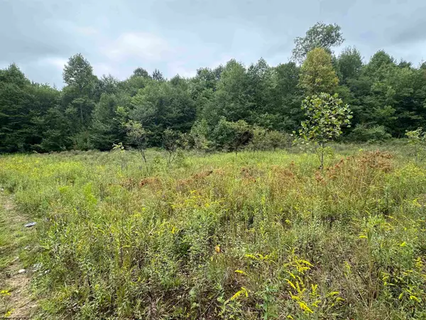 LOT E Jettsville Road, Fenwick, WV 26202