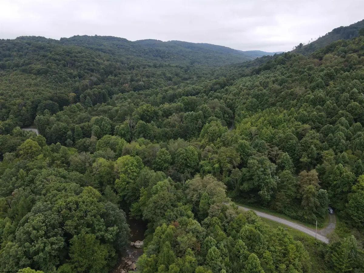 LOT C Jettsville Road, Fenwick, WV 26202 - Image #1