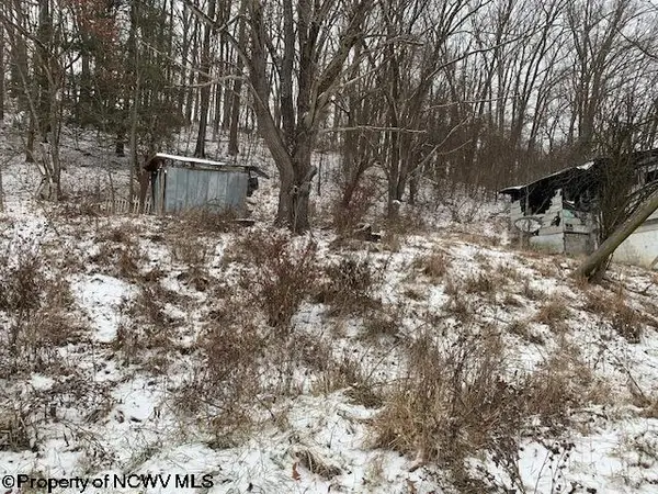 10 Thorne Avenue, Elkins, WV 26241