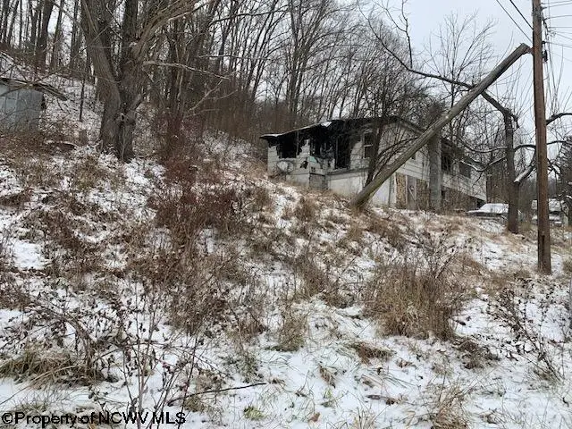 10 Thorne Avenue, Elkins, WV 26241 - Image #2