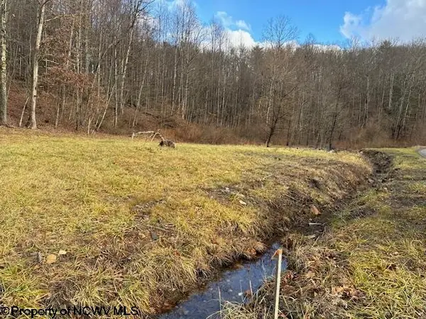 Lot 2 Trail View Lane, Masontown, WV 26542