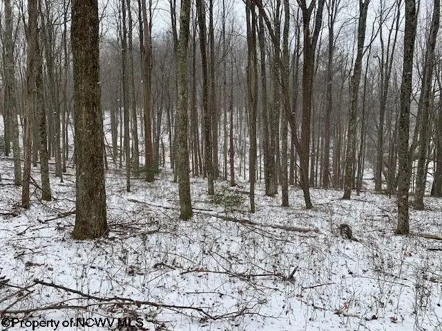 TBD Mt. Hebron Road, Volga, WV 26238 - Image #3