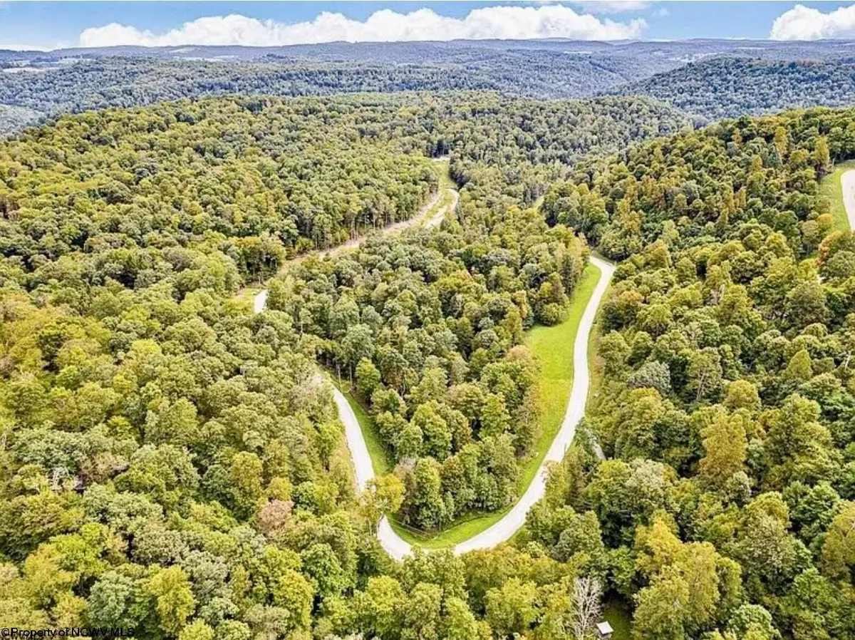 87 Whitewater Parkway, Bruceton Mills, WV 26525 - #1
