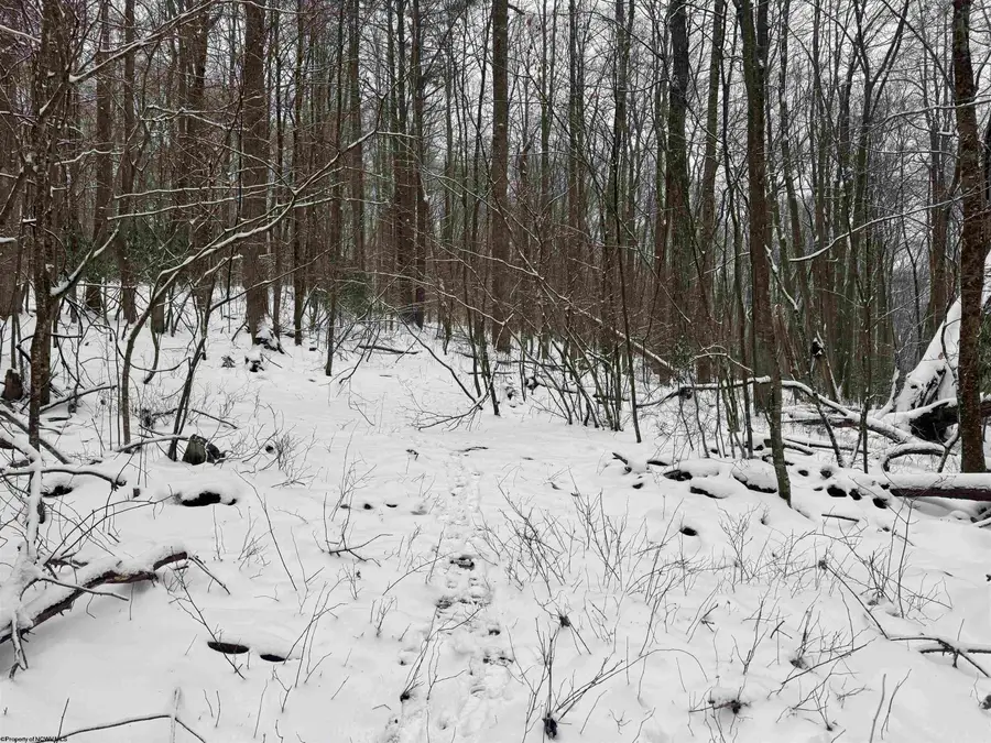 TBD Abiguchee Lane, Richwood, WV 26261 - Image #3