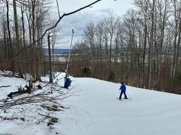 Lot 83 Hillside Drive, Davis, WV 26260