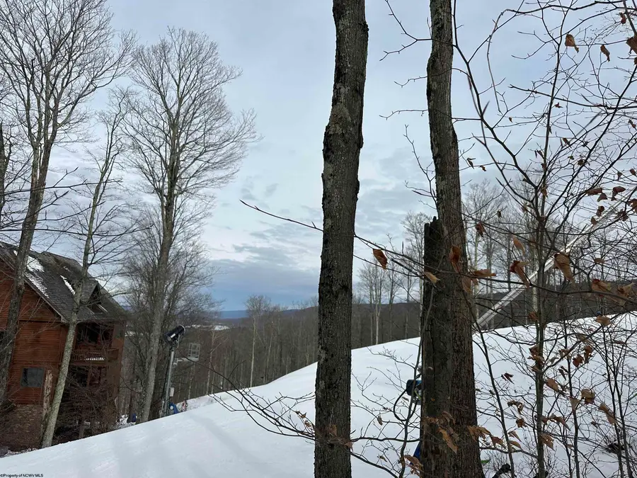 Lot 83 Hillside Drive, Davis, WV 26260 - Image #2