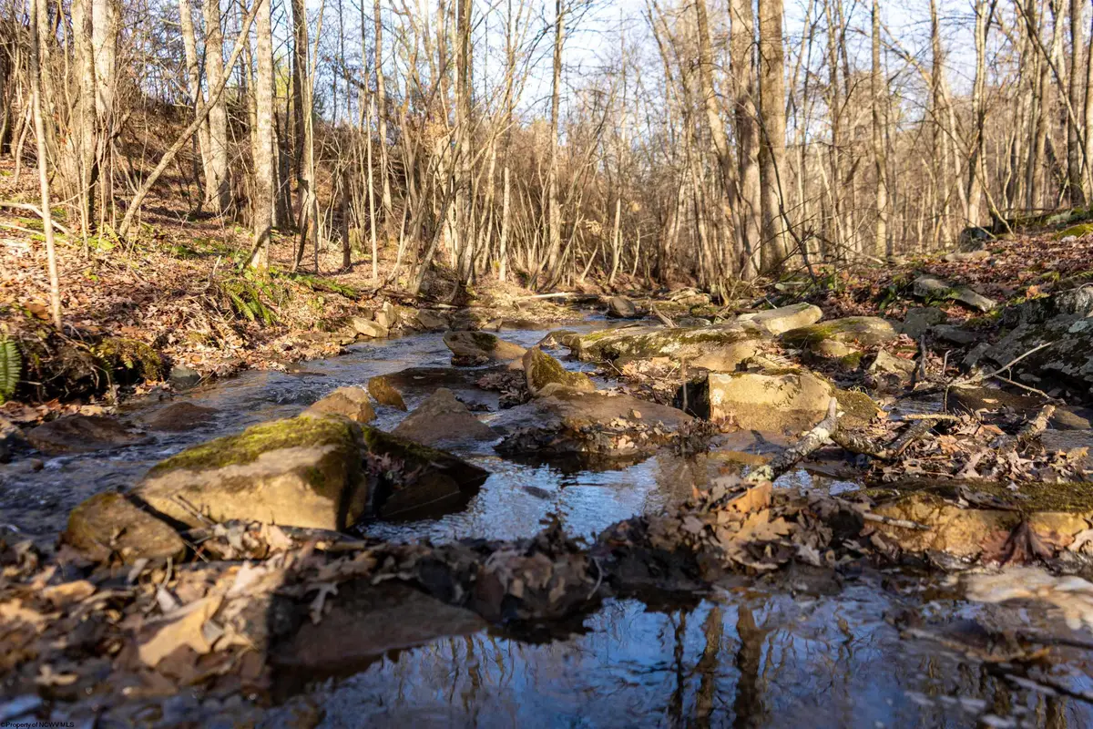 Lot 1 Frost Run, Moatsville, WV 26405 - Image #1