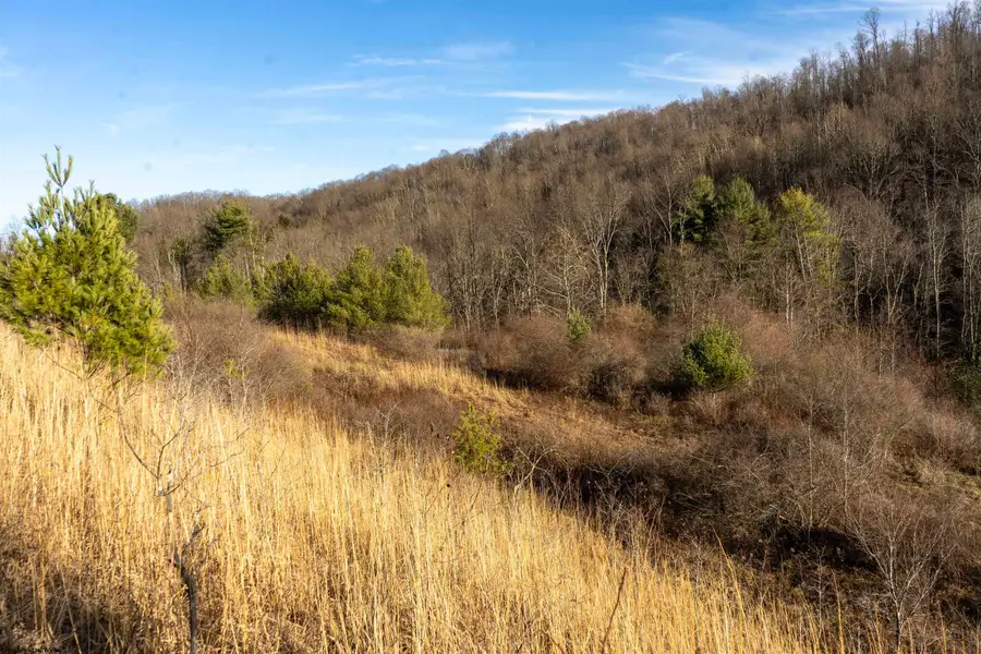 Lot 1 Frost Run, Moatsville, WV 26405 - Image #2