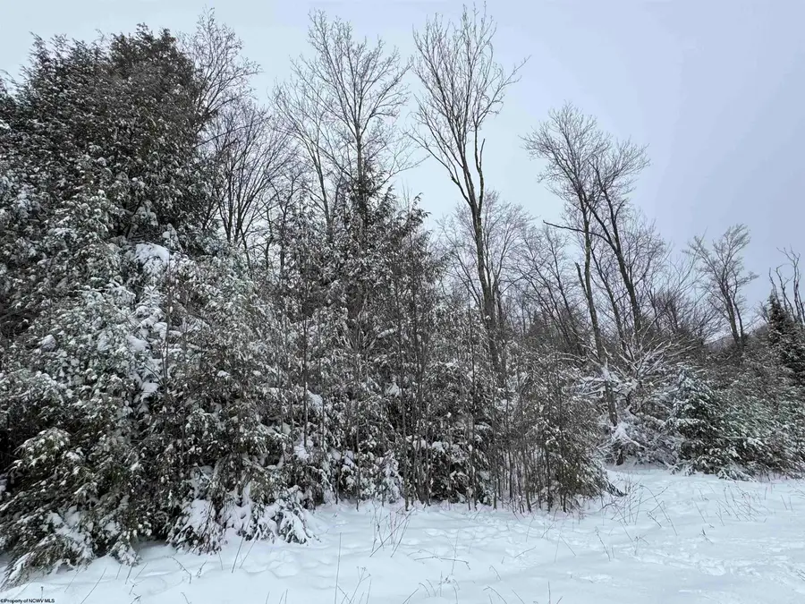 Lot 111 Canal Street, Davis, WV 26260 - Image #2