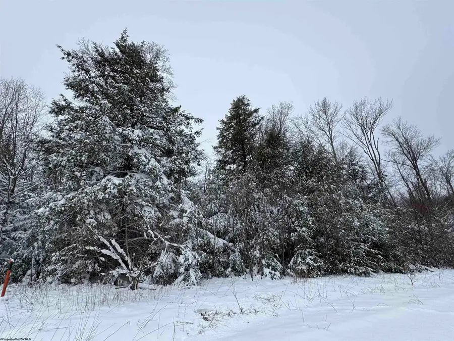 Lot 110 Canal Street, Davis, WV 26260 - Image #3