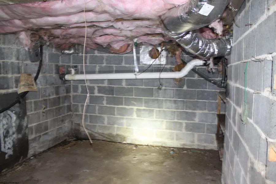 1349 Point Mountain Road, Webster Springs, WV 26288 - Image #3