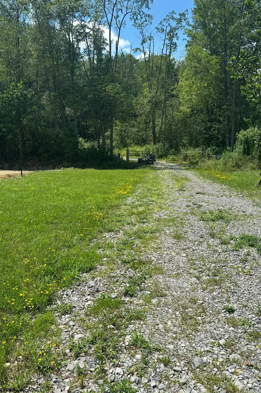 104 Midway Loop, Elkins, WV 26241 - Image #2