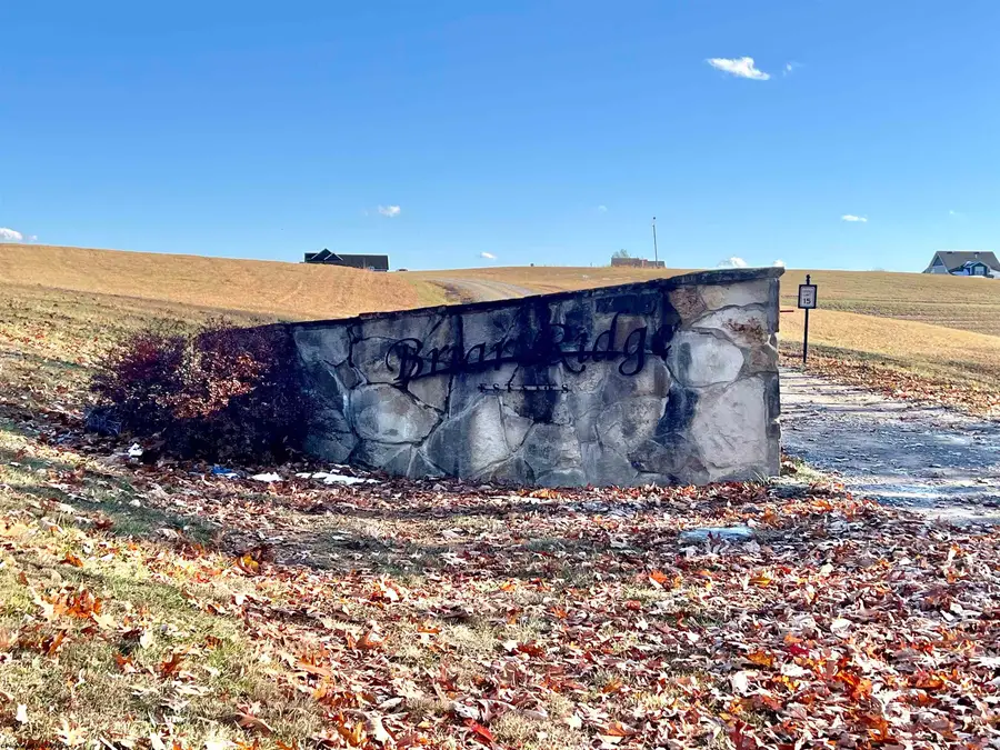 TBD Thornberry Lane, Ellamore, WV 26267 - Image #2