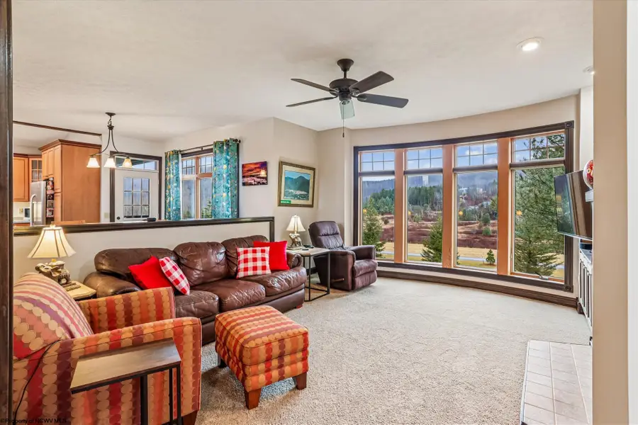 53 Park Drive, Davis, WV 26260 - Image #3