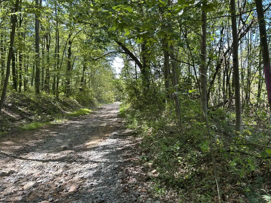 Lot 4 Crane School Road, Terra Alta, WV 26764 - Image #3