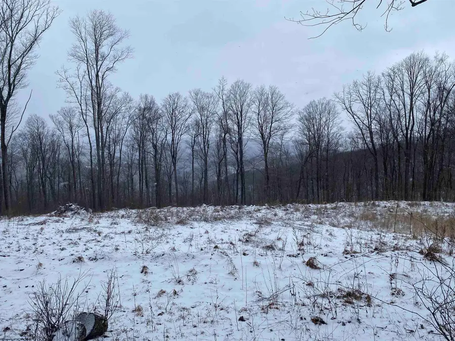 TBD Stemple Ridge Road, Aurora, WV 26705 - Image #2