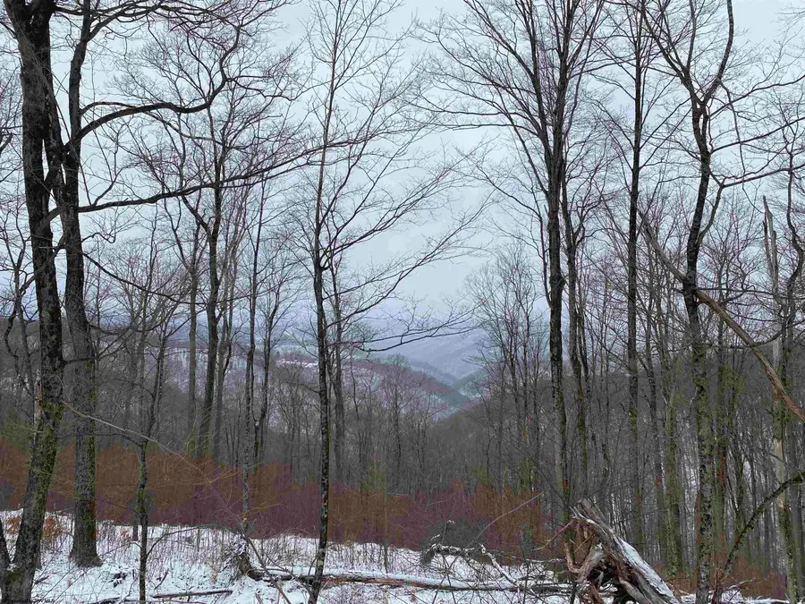 TBD Stemple Ridge Road, Aurora, WV 26705 - Image #3