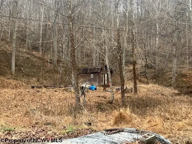 1315 Bear Run Road, Walkersville, WV 26407 - #3