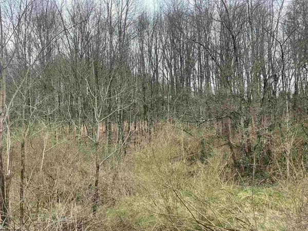 TBD Glassworks Road, Buckhannon, WV 26201