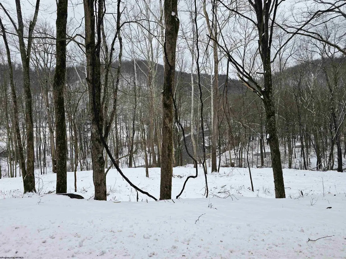 TBD Irontown Road, Independence, WV 26374 - Image #1