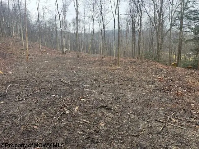 TBD Irontown Road, Independence, WV 26374 - Image #3