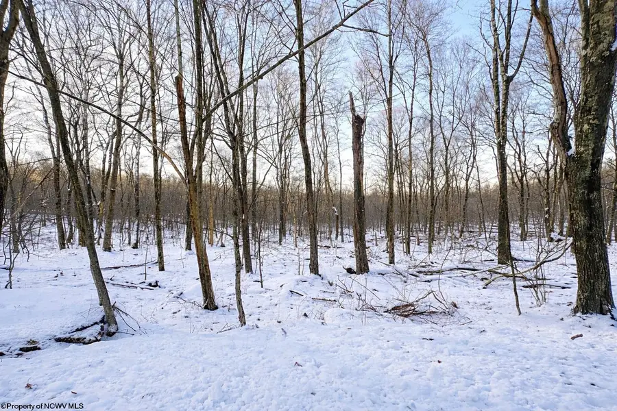 TBD Columbine Circle, Terra Alta, WV 26764 - Image #2