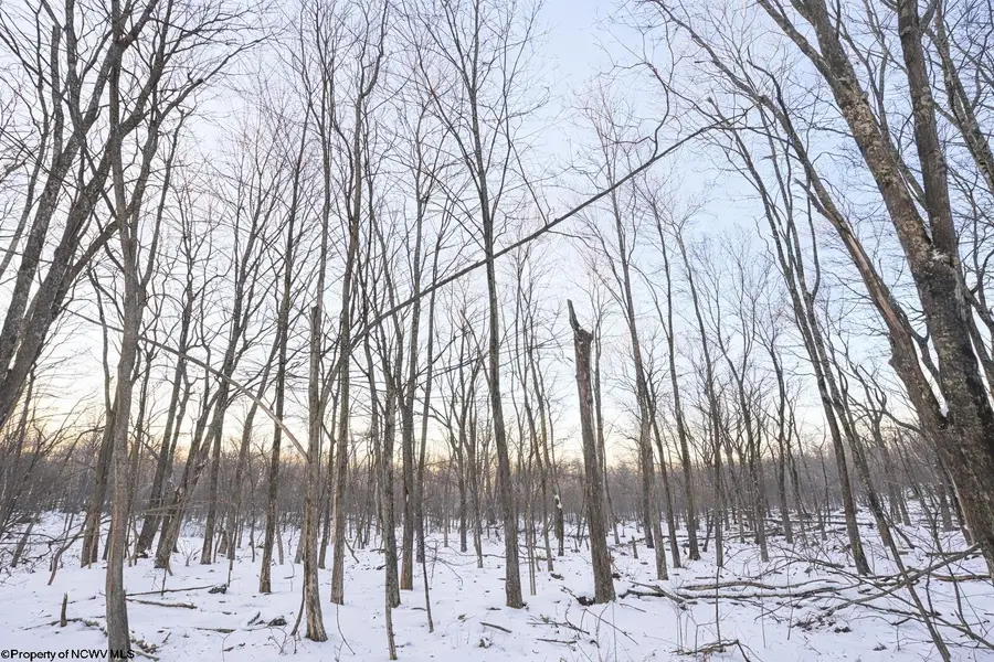 TBD Columbine Circle, Terra Alta, WV 26764 - Image #3