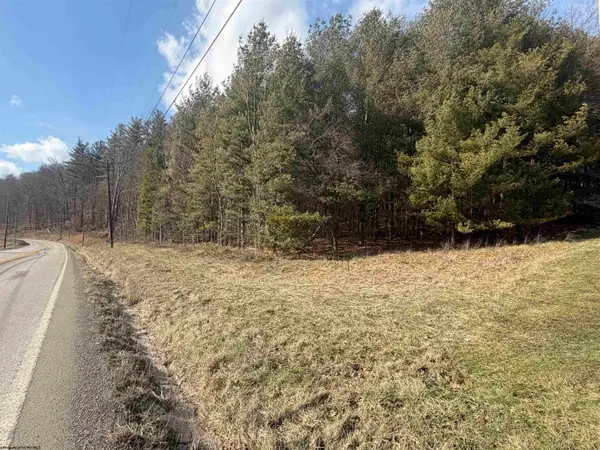 6500 Seneca Trail, Mill Creek, WV 26280