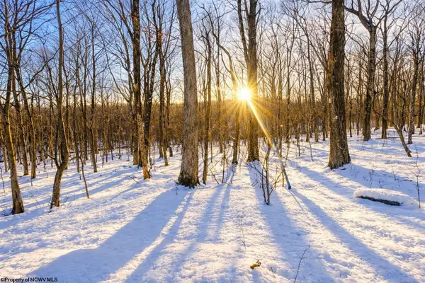 TBD Ash Court, Terra Alta, WV 26764