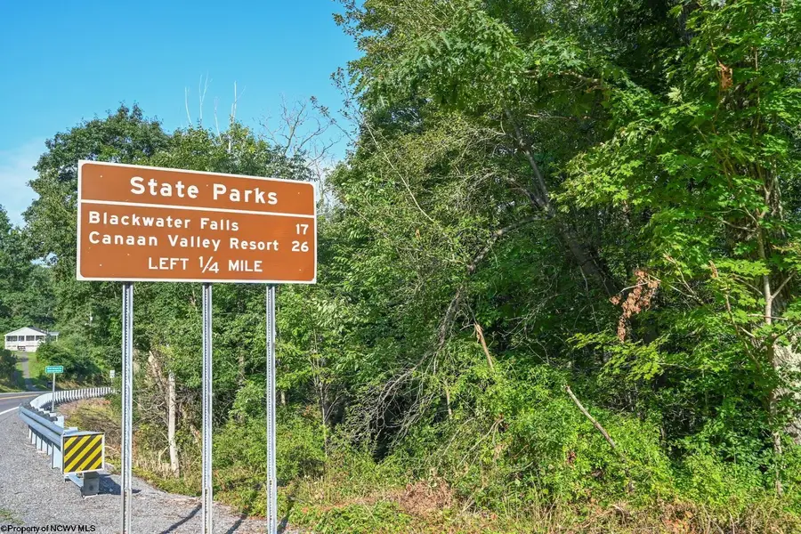 TBD Rte. 50 Highway, Gormania, WV 26720 - Image #3