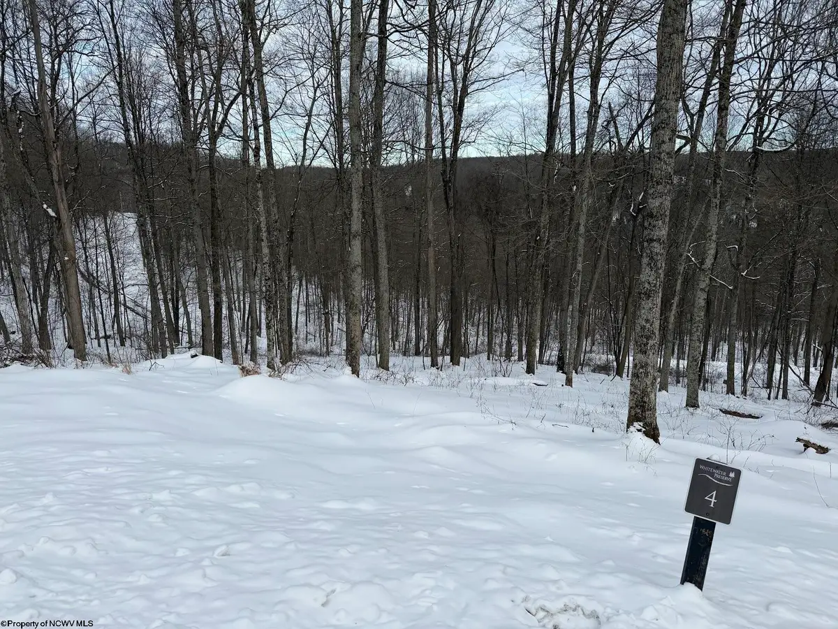 Lot 4 Trailwood Circle, Bruceton Mills, WV 26525 - #1