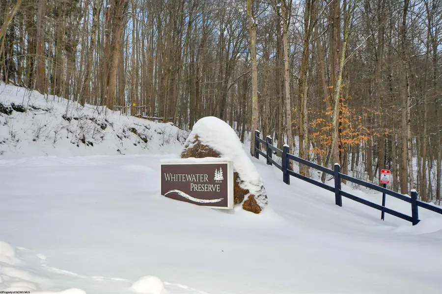 Lot 4 Trailwood Circle, Bruceton Mills, WV 26525 - #2