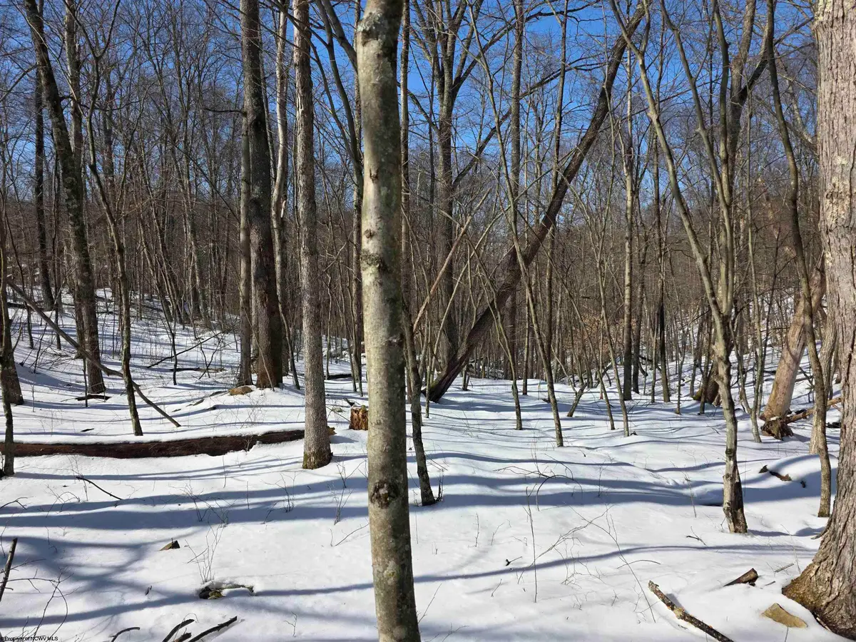 Lot 17,18 &19 Poplar Drive, Grafton, WV 26354 - #1