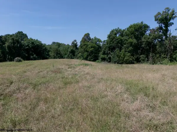 TBD Bosser Road, Grafton, WV 26354