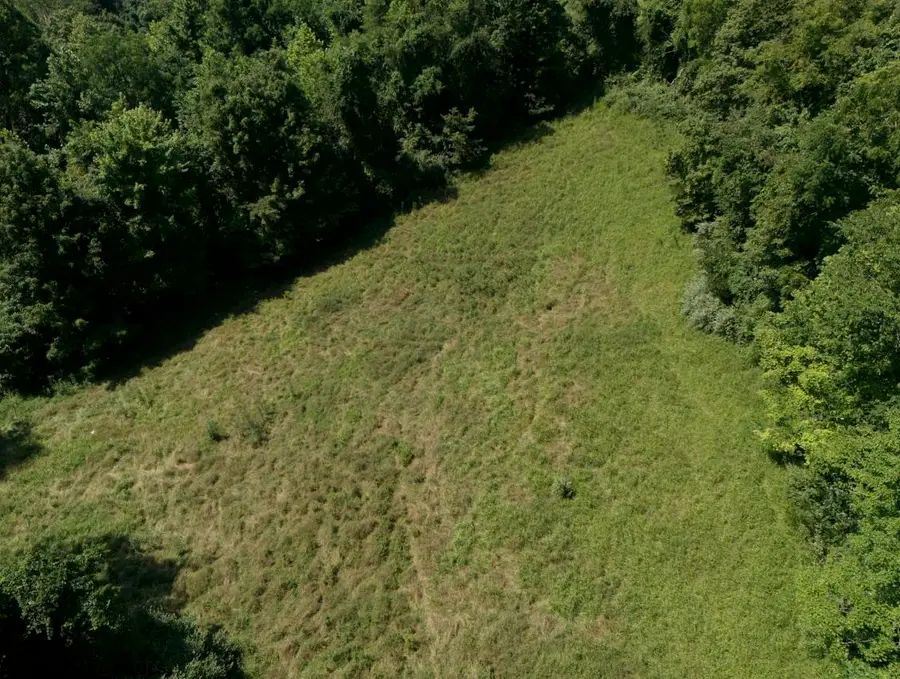 TBD Bosser Road, Grafton, WV 26354 - #2