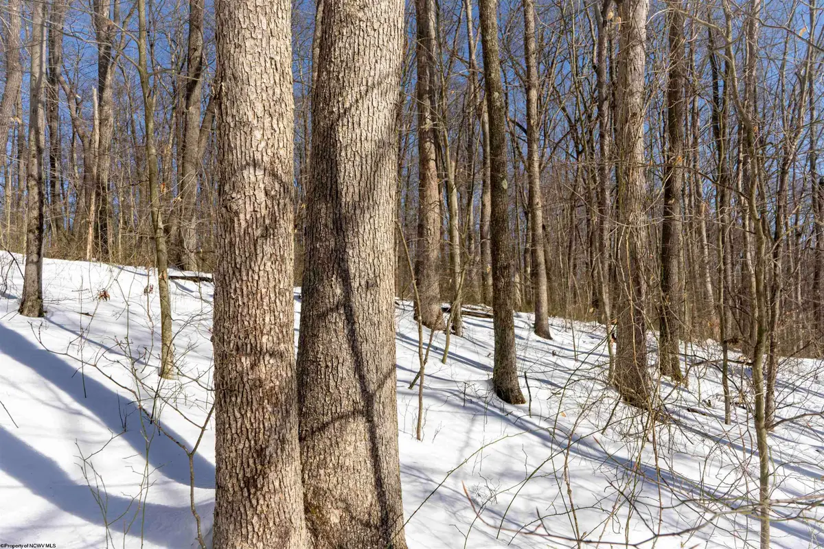 Lot 1 Cales Road, Masontown, WV 26542 - #1