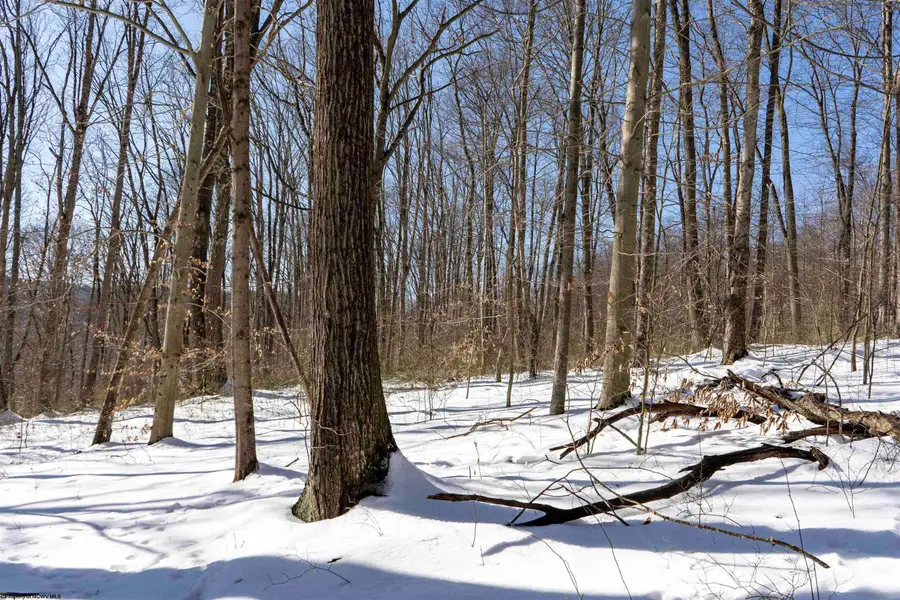 Lot 1 Cales Road, Masontown, WV 26542 - #2