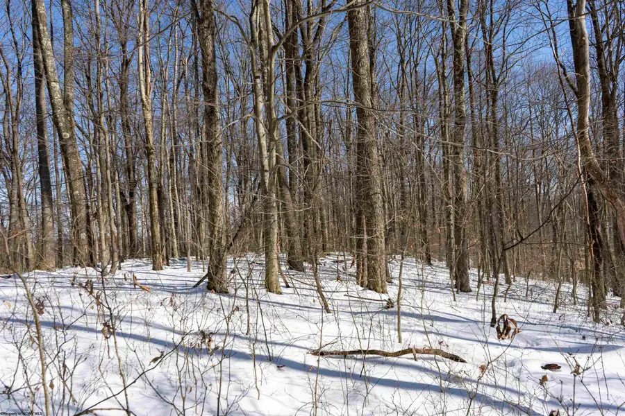 Lot 1 Cales Road, Masontown, WV 26542 - #3